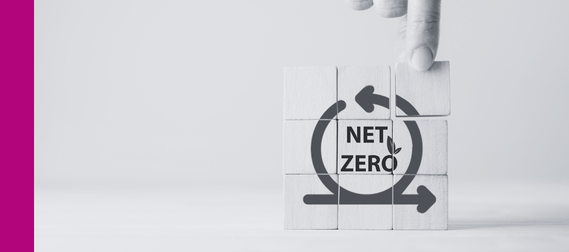 Net zero h2