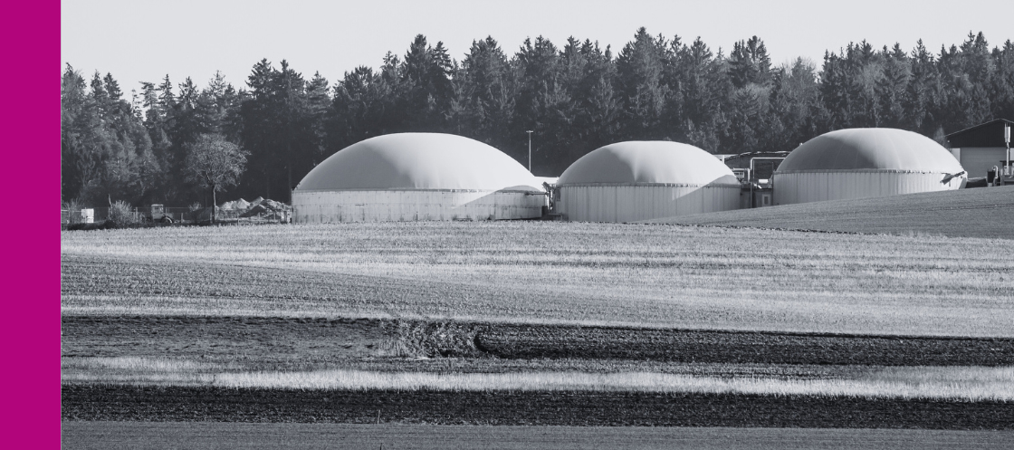 Bioenergy domes